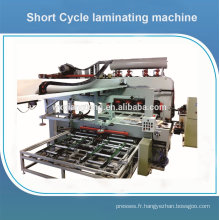 Panneau de particules à double cycle à double face, machine à presser à chaud en mélamine laminée